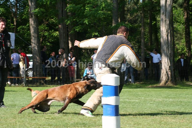 Twisty des Loups Mutins (16).jpg